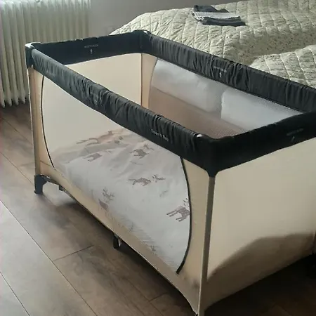 Soproniutas Centroom Апартаменты *